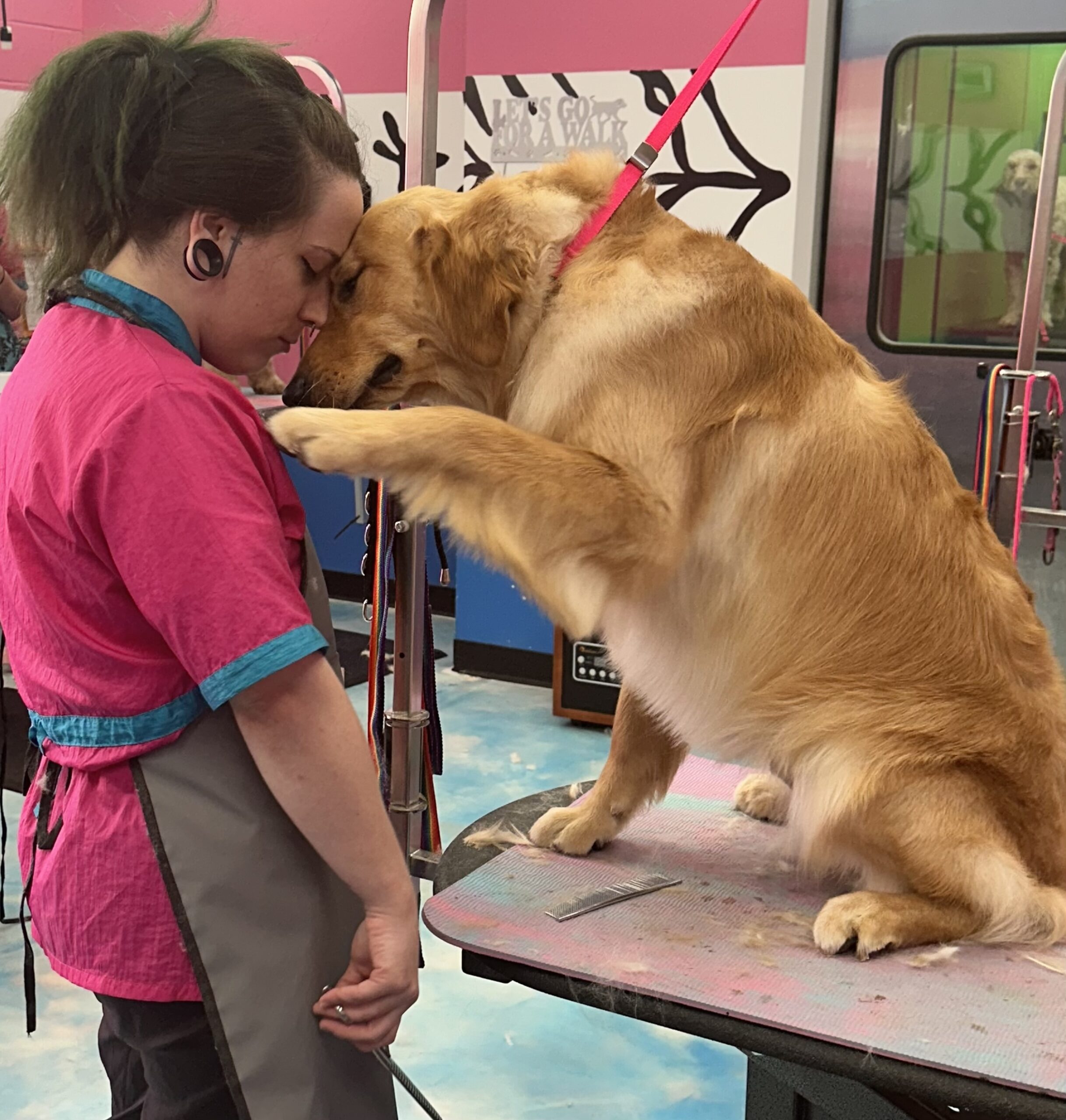 steph and the golden retriever in a prayer