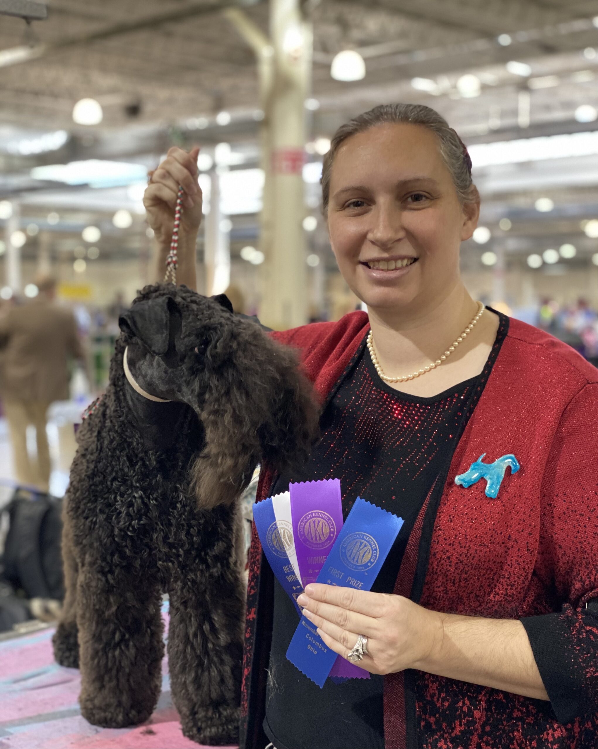 master certified groomer Misty Gieczys and pettech instructor showing anubis the kerry blue terrier