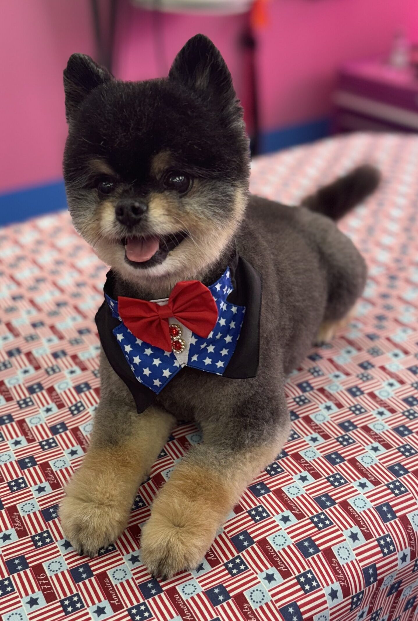 oscar the Pomeranian use and red and white blue