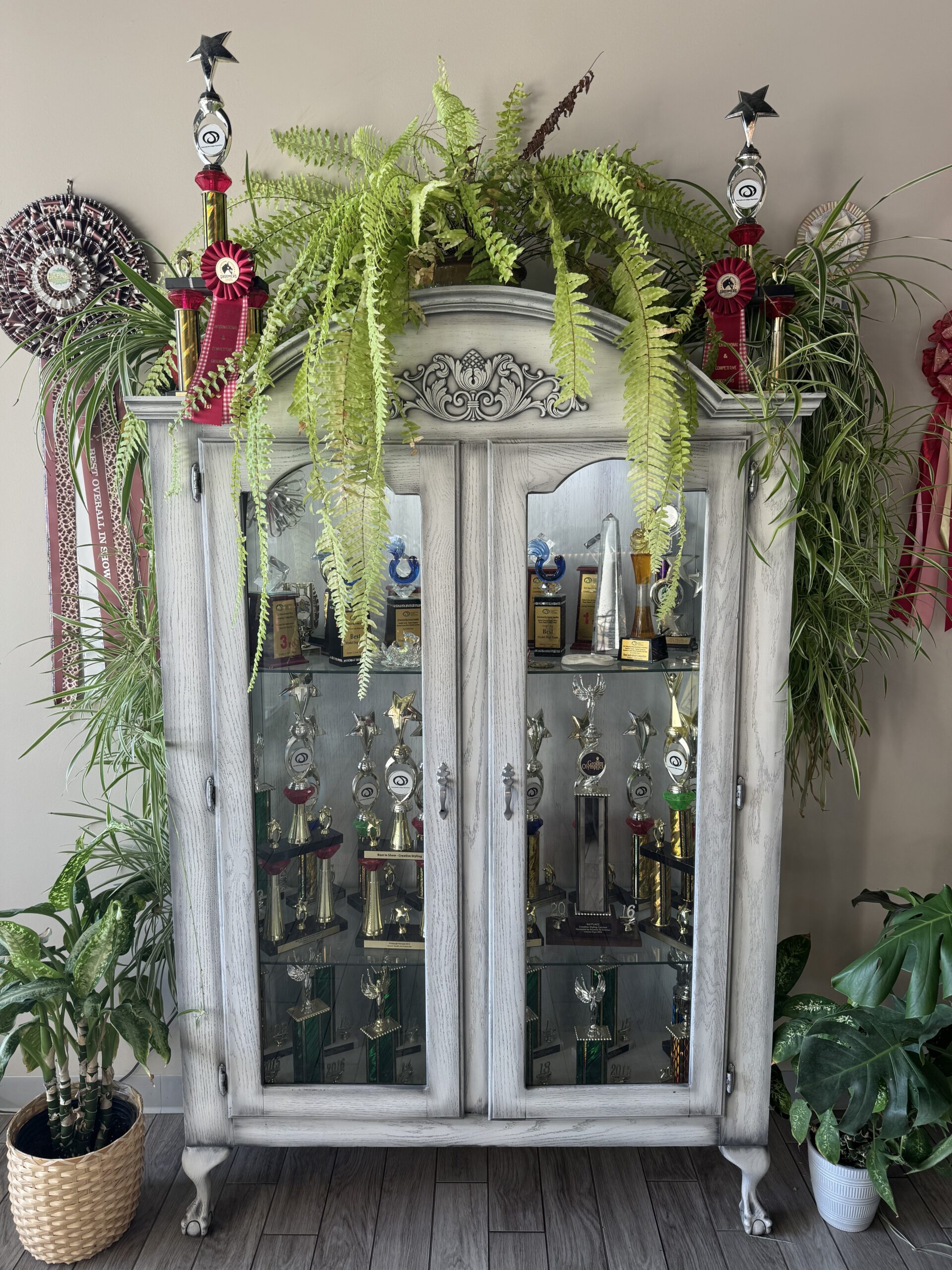 awards in cabinet with plants