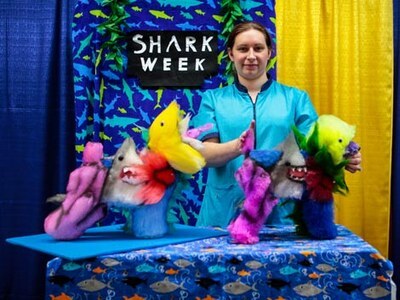 Competition grooming entry — Designer Paws Salon Columbus